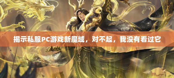 揭示私服PC游戏新魔域，对不起，我没有看过它