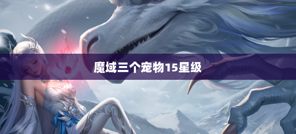 魔域三个宠物15星级 第2张